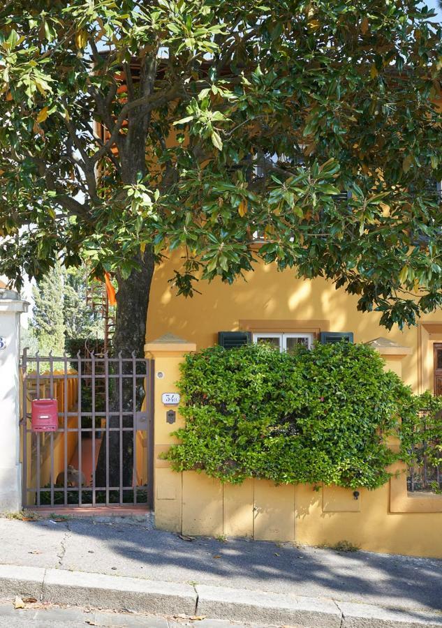 Appartement Nest
